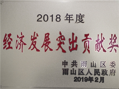 2018年度榮獲經(jīng)濟(jì)發(fā)展突出貢獻(xiàn)獎